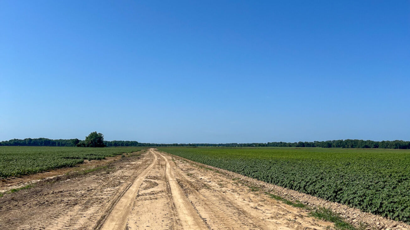 TLM LaGrange Farm, Elaine, AR 72333