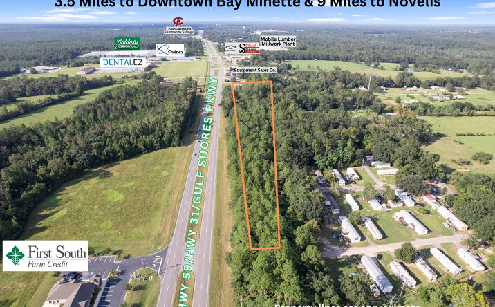 Pictures of Land property located at 41850 AL-59, Bay Minette, AL 36507 for sales - image #1