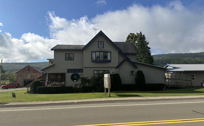 Pictures of Retail property located at 2597 NY-394, Steamburg, NY 14783 for sales - image #1