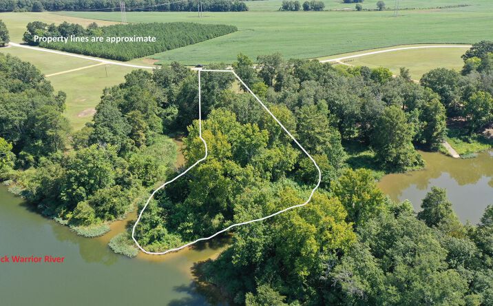 Pictures of Land property located at 1637 Judge Greene Place Rd, Greensboro, AL 36744 for sales - image #1