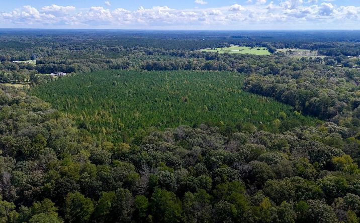 Pictures of Land property located at County Line Rd, SUMMIT, MS 39666 for sales - image #1