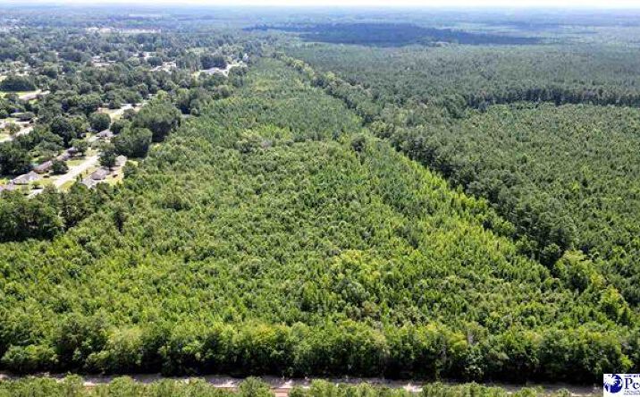 Pictures of Land property located at Lot 8 Leigh Ln, Florence, SC 29505 for sales - image #1