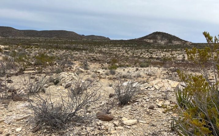 Pictures of Land property located at 26600 Tanque Tierra, Terlingua, TX 79852 for sales - image #1