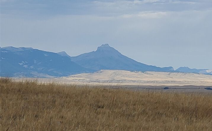 Pictures of Land property located at NHN N Tamarack Drive, Augusta, MT 59410 for sales - image #1