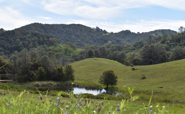 Pictures of Land property located at Cypress Mountain Rd, Templeton, CA 93465 for sales - image #1