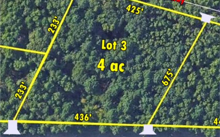 Pictures of Land property located at 16393 W Hwy 31, Tyler, TX 75709 for sales - image #1