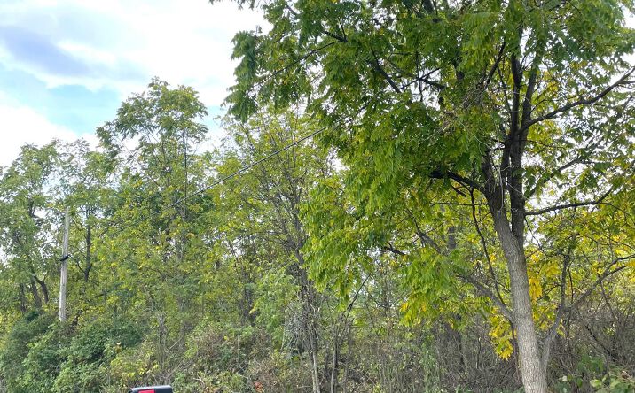 Pictures of Land property located at 0 Payne, Marysville, OH 43040 for sales - image #1
