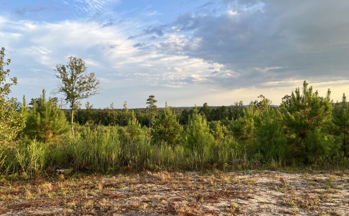 Pictures of Land property located at 5070 Central Plank Rd, Wetumpka, AL 36092 for sales - image #1