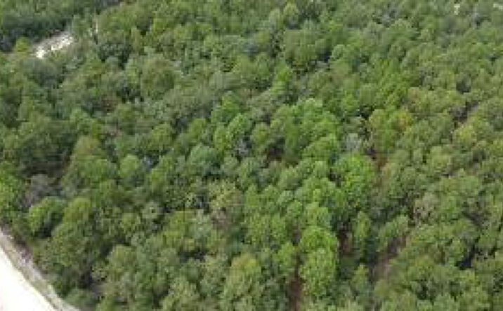 Industrial Land & Commercial Lots for Sale in Ridge Spring, SC | Crexi.com