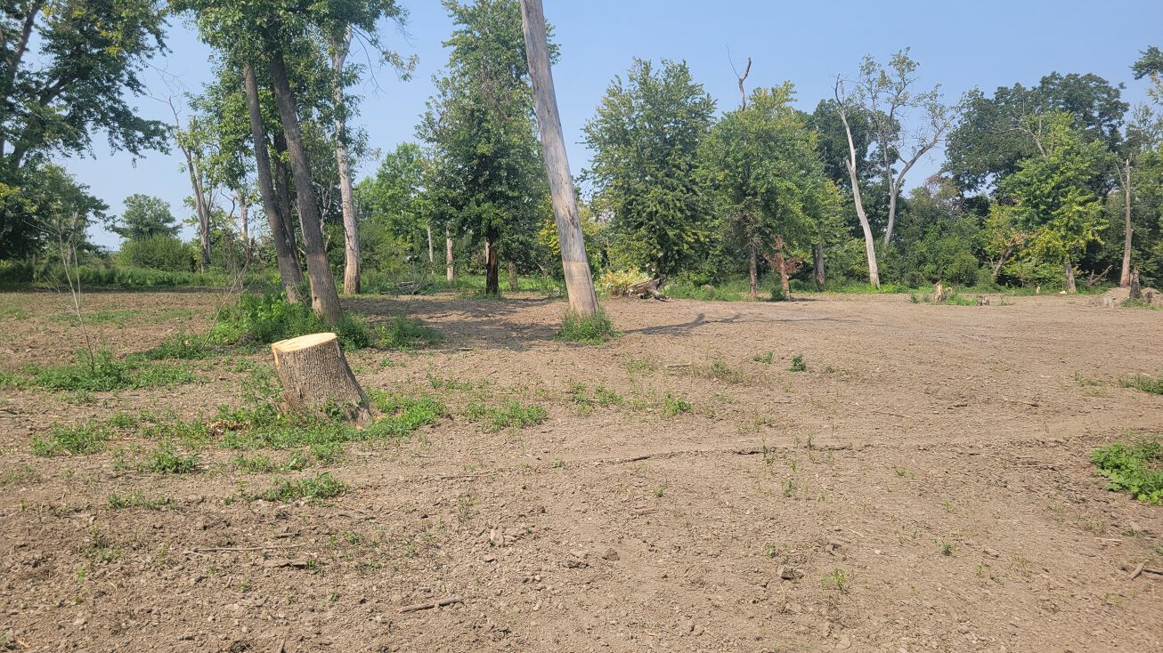 S River Rd, Elsberry, MO 63343