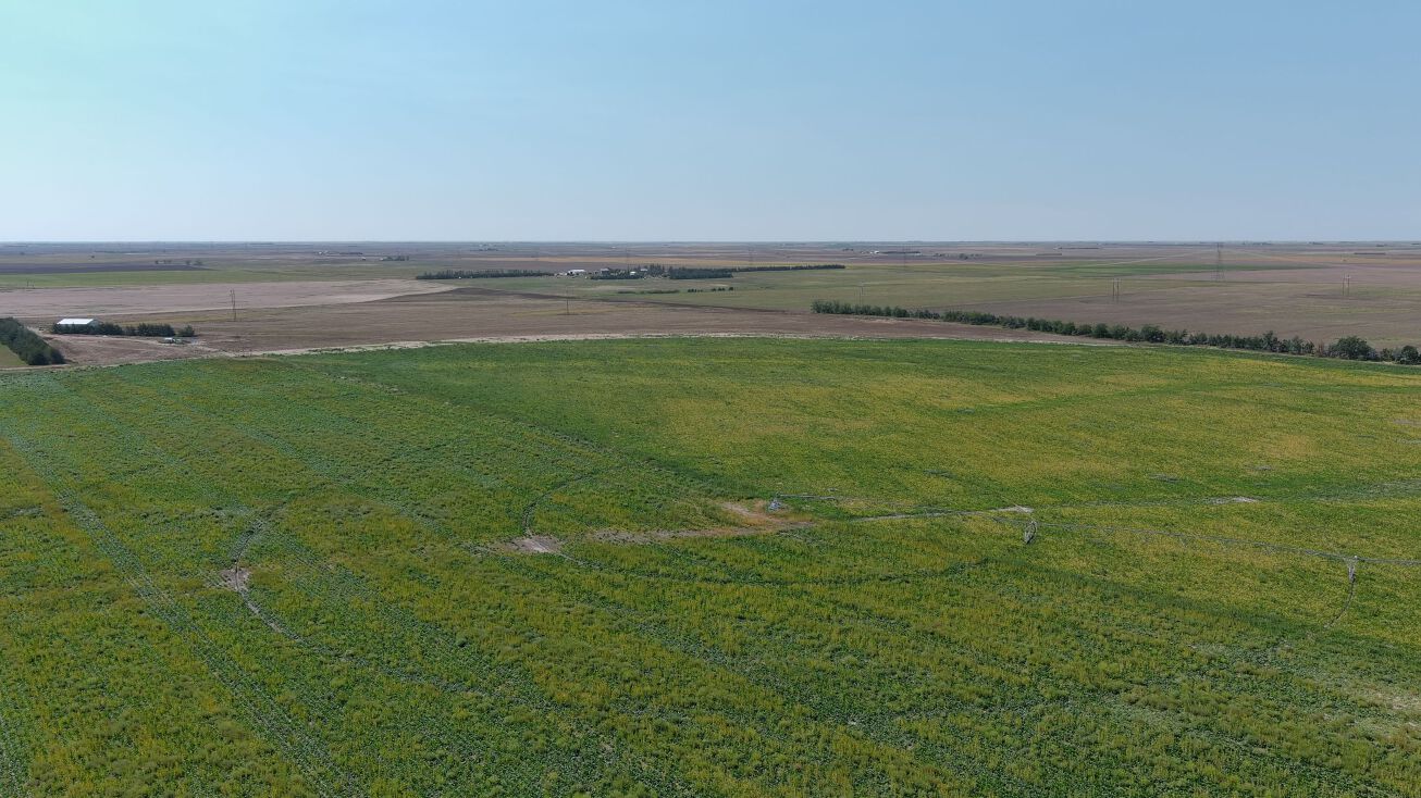 Vacant Land, Gurley, NE 69141 | Crexi.com