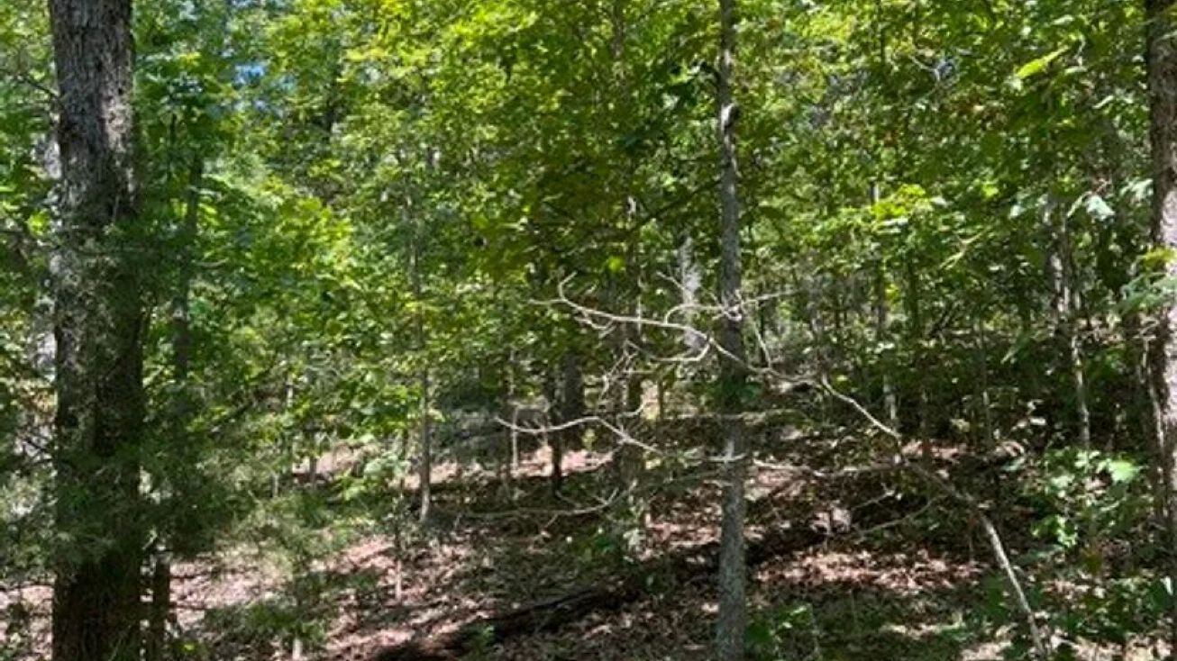 TBD Minx Valley Dr, Roach City, MO 65787