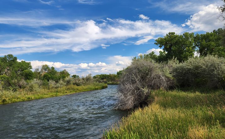 Pictures of Land property located at 755 Spring Creek Rd, Montrose, CO 81403 for sales - image #1