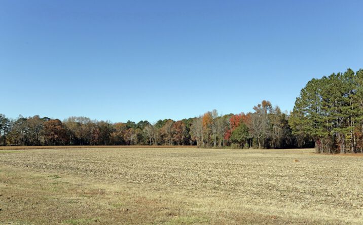 Pictures of Land property located at 6004 St Rose Church Rd, Wilson, NC 27893 for sales - image #1