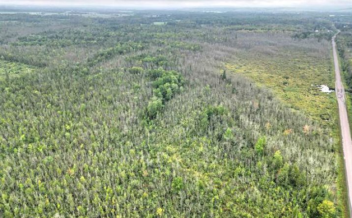 Pictures of Land property located at TBD Froberg Rd, Baraga, MI 49908 for sales - image #1