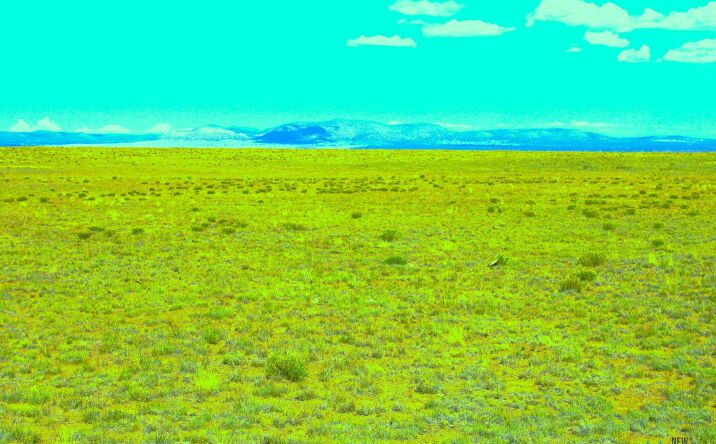 Pictures of Land property located at Wheeler Place Guin Ranch Road, Magdalena, NM 87825 for sales - image #1