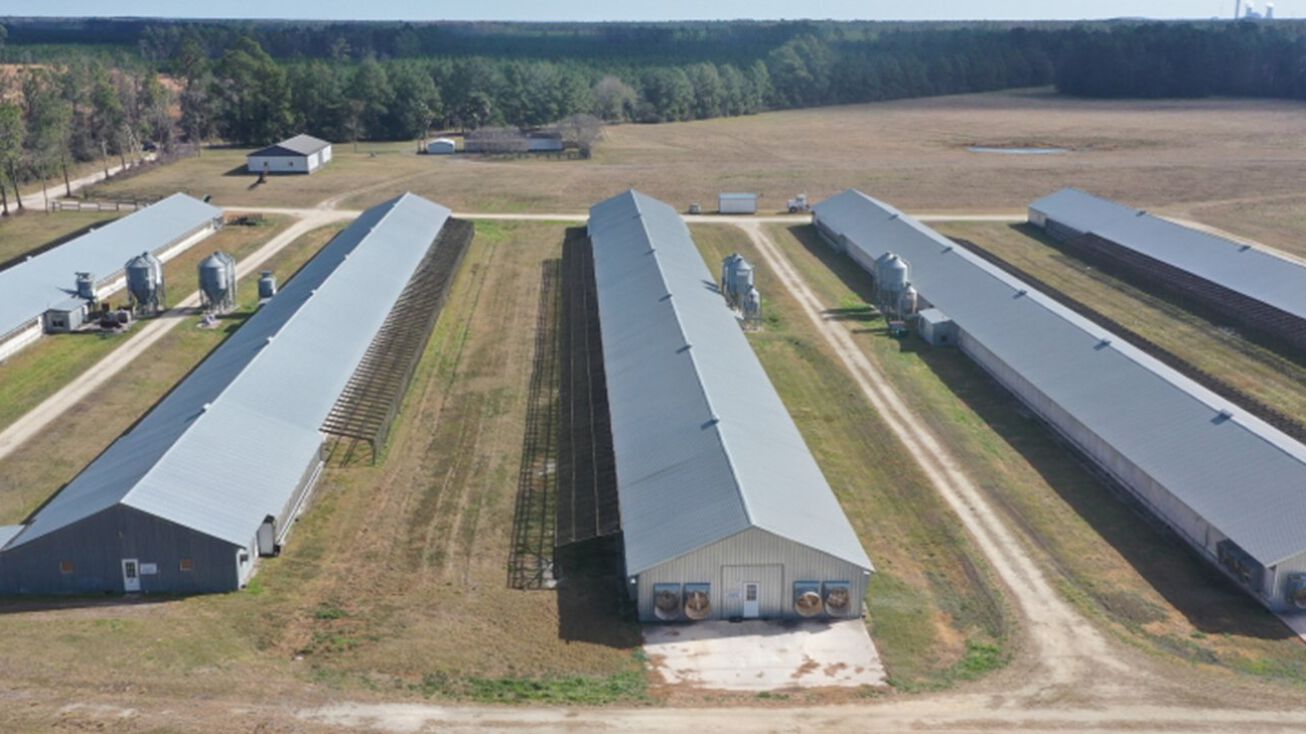 1251 Bardin Rd, Palatka, FL 32177