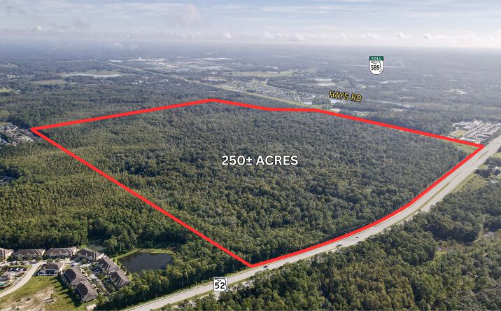 Pictures of Land, Retail property located at Fl-52, Hudson, FL 34669 for sales - image #1