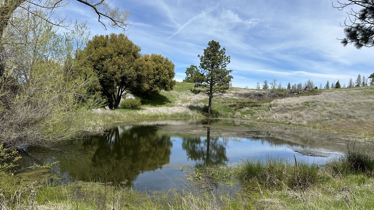 Hawk Haven Ln, Somerset, CA 95684