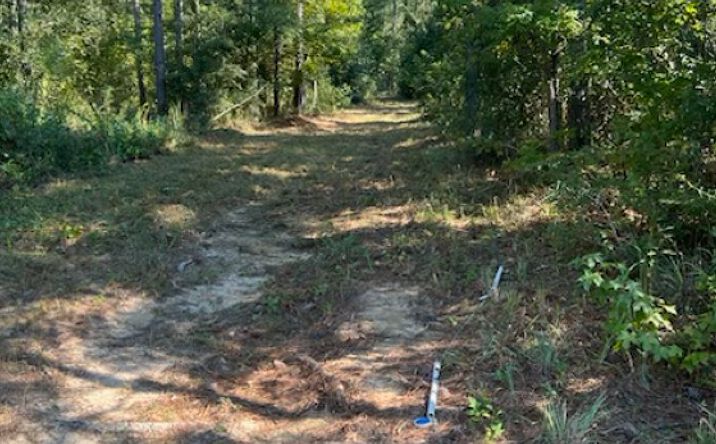 Pictures of Land property located at Downs Rd, Quincy, FL 32352 for sales - image #1