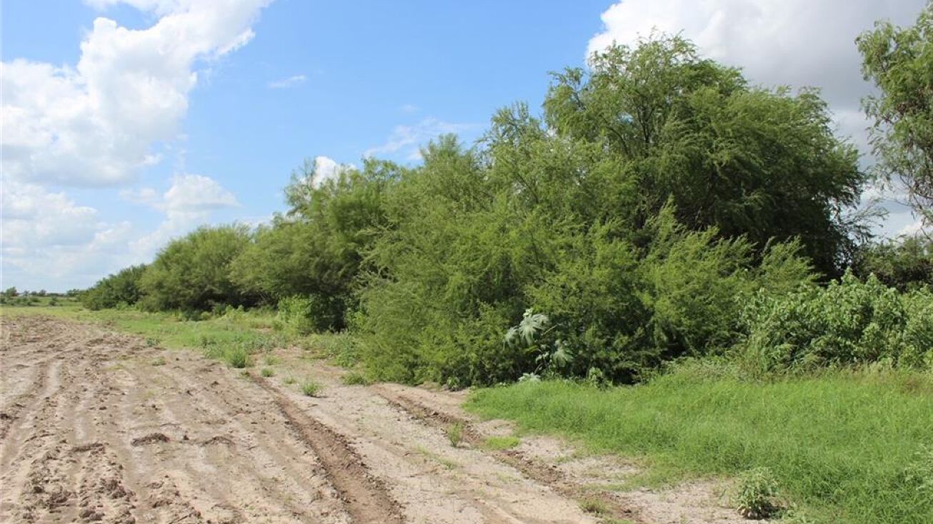 0 N Spur, Hidalgo, TX 78557