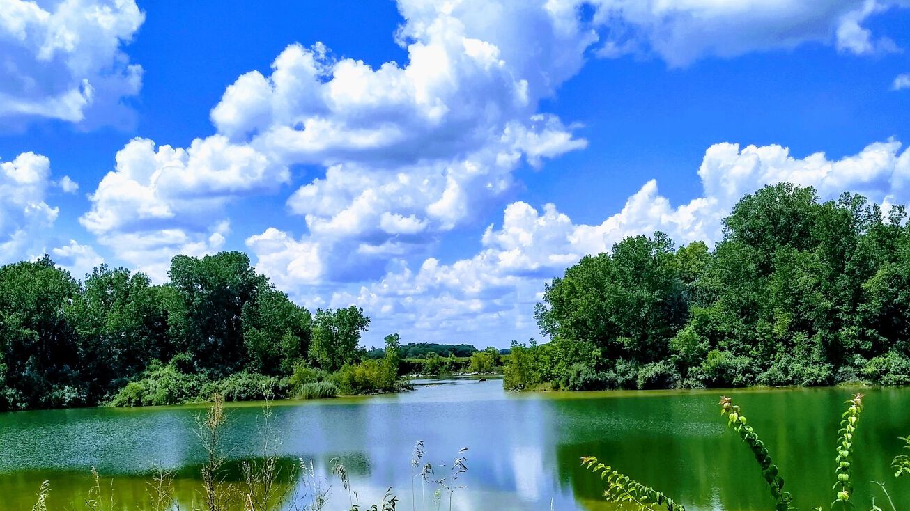 Dildine Rd, Delaware, OH 43015