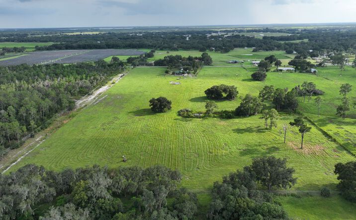 Pictures of Land property located at 3990 East Gaskins Road, Bartow, FL 33830 for sales - image #1