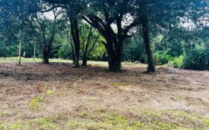 Pictures of Land property located at 00 Hatchaway Bridge Road, Aiken, SC 29801 for sales - image #1