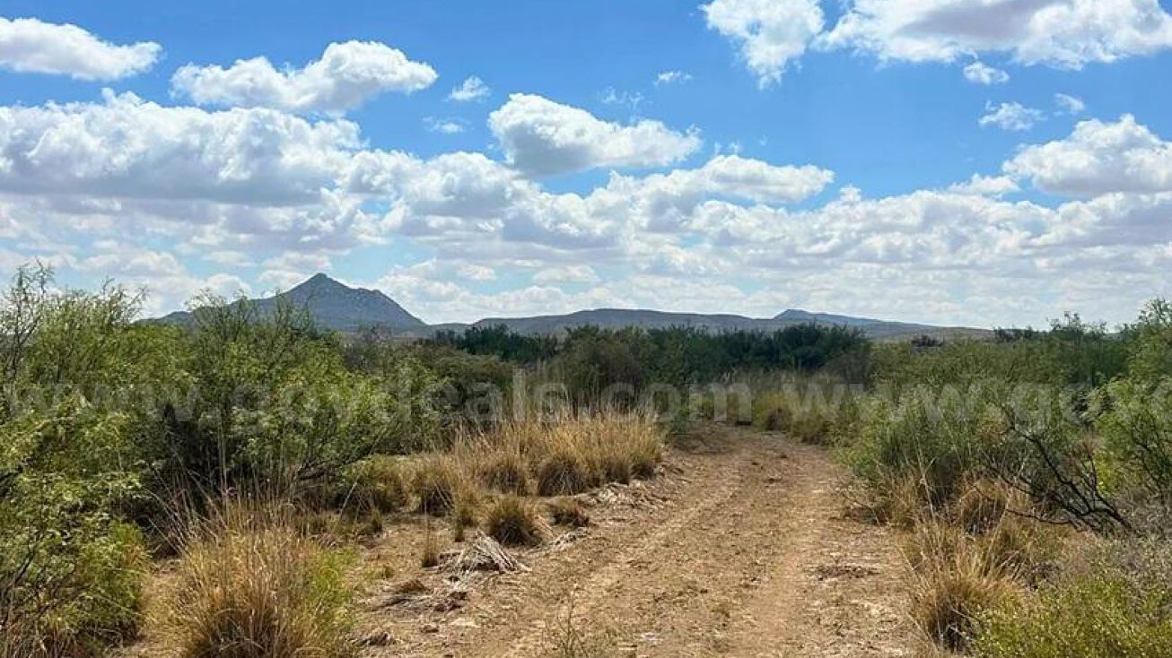 See auction page, Dell City, TX 79847