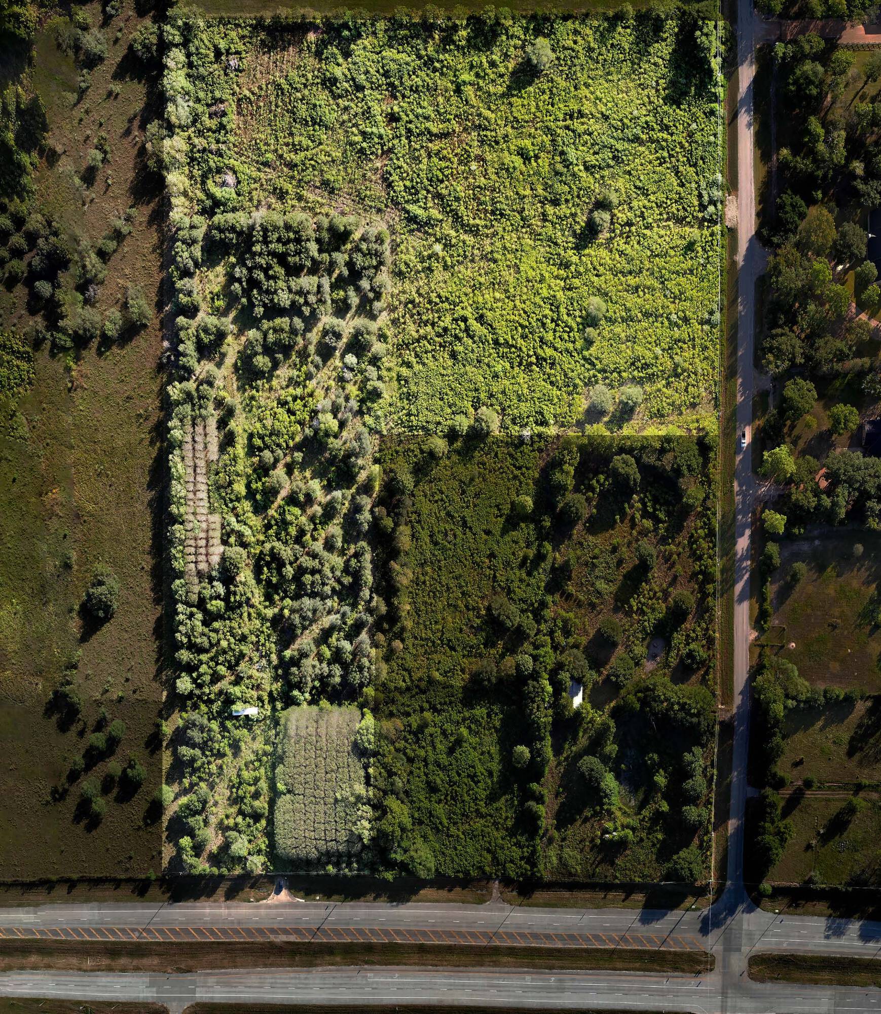 Spur 10 - Cottonwood School Road