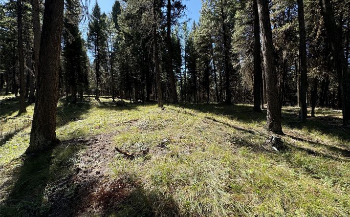 Pictures of Land property located at 643 & 589 Stagecoach Drive, Seeley Lake, MT 59868 for sales - image #1