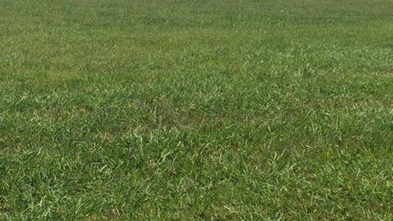 Thompsonville Hwy 911, Oak Grove, KY 42262