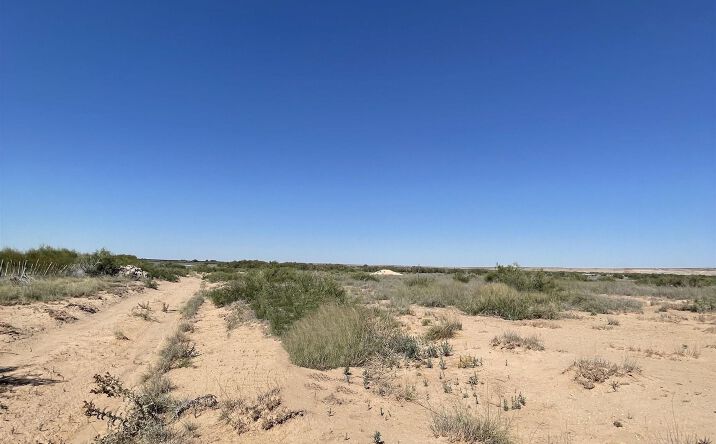 Pictures of Land property located at NE of 106 Aaron Road, Artesia, NM 88210 for sales - image #1