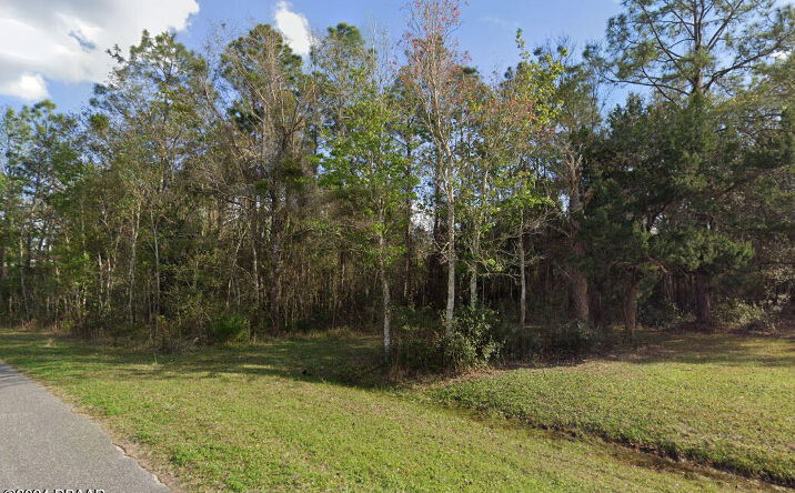 Pictures of Land property located at 257 Harbor Drive, Palatka, FL 32177 for sales - image #1