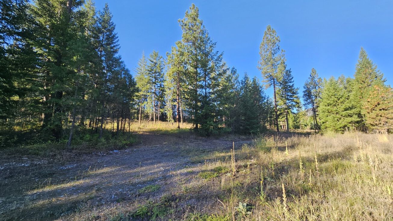 NHN Fish Creek Road Whitewater Ln, Alberton, MT 59820