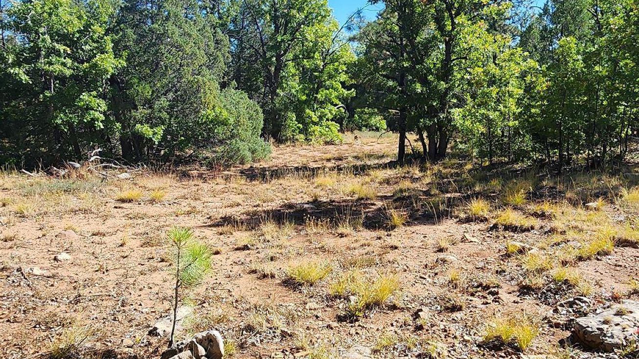 15 Tampico Springs Road, Mcgaffey, NM 87316