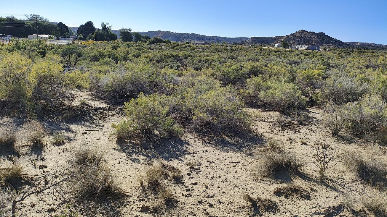 XX(TRACK5) ROAD 4599, Blanco, NM 87412