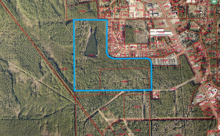 Pictures of Land property located at 0000 Paula Rd, Kountze, TX 77625 for sales - image #1