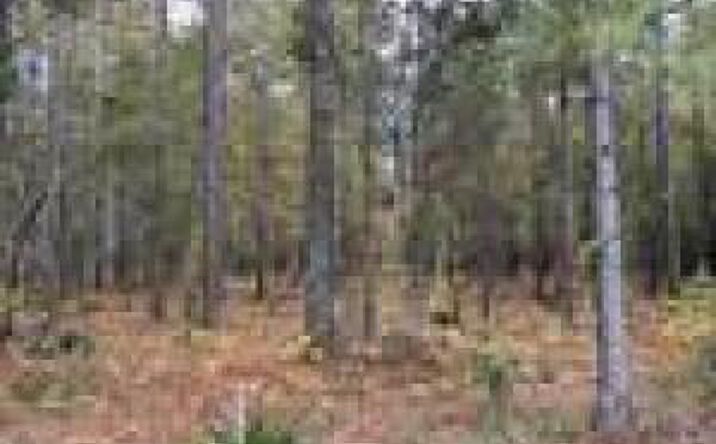 Pictures of Land property located at Ebh A4-1 Wendell Lane, Wagener, SC 29164 for sales - image #1