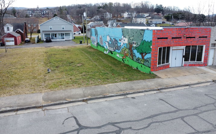 Pictures of Industrial, Mixed Use, Office, Retail, Self Storage property located at 430 N Commerce Ave, Waynesboro, VA 22980 for sales - image #1