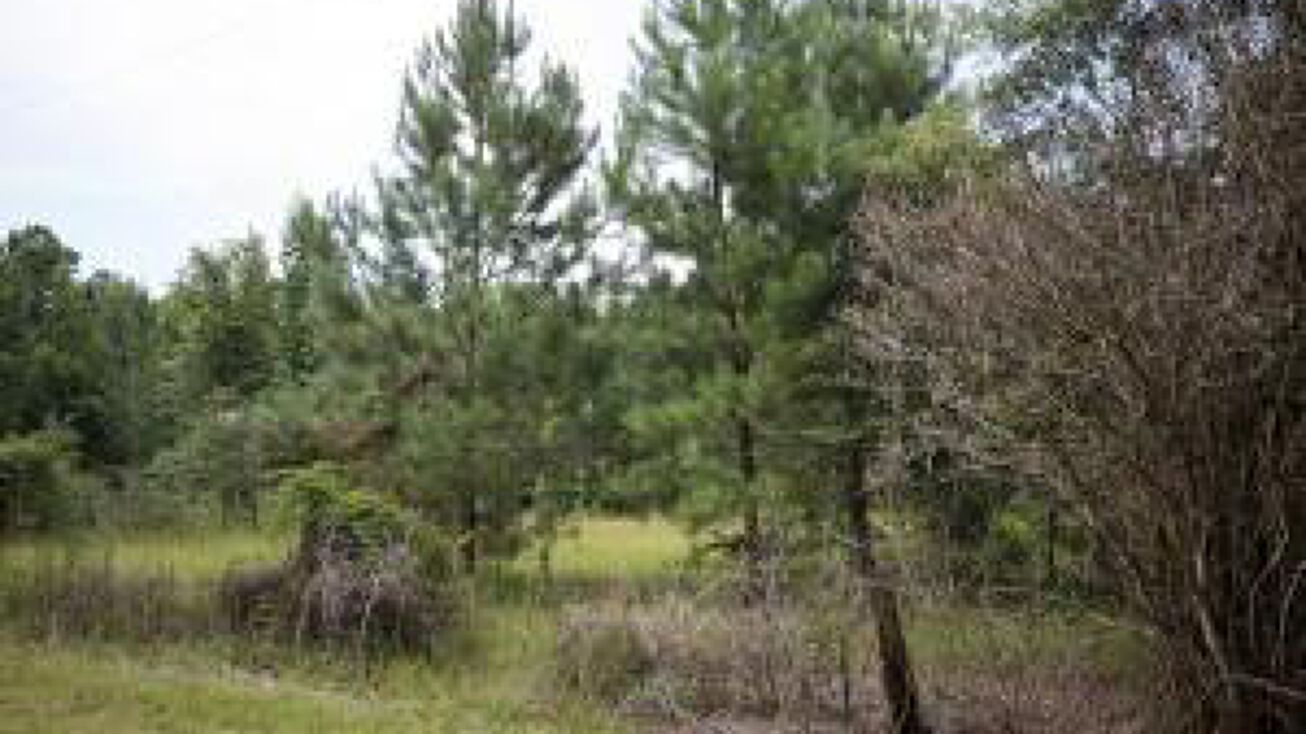 0 Utsey Hill Rd, Saint SC 29477