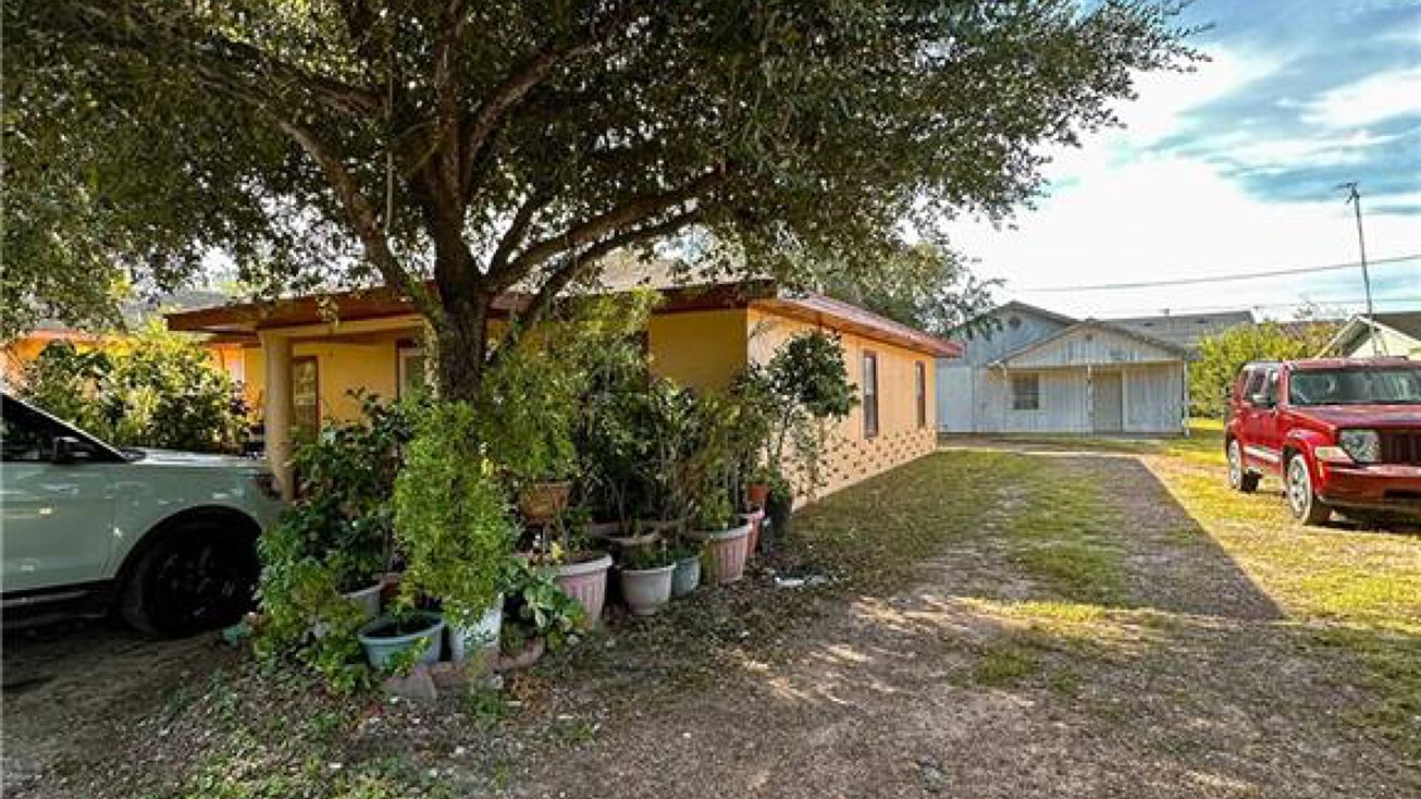 229 W 4th Street, La Joya, TX 78560