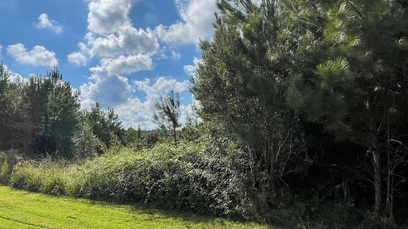 0 Benville Rd., Picayune, MS 39466