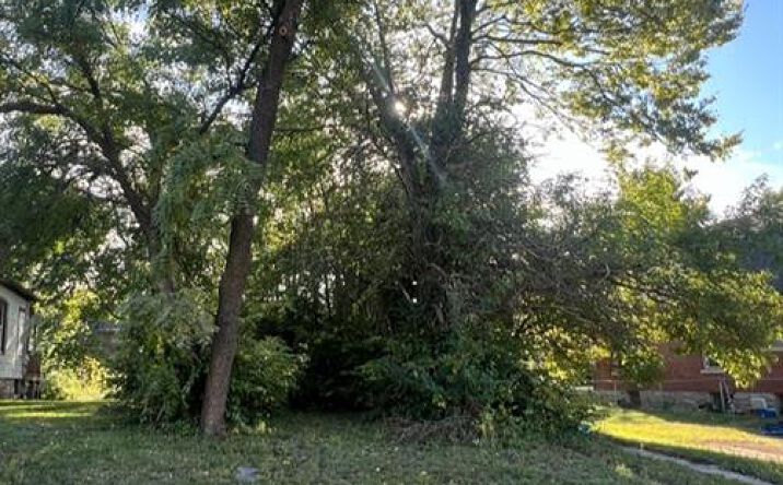 Pictures of Land property located at 2737 Brooklyn Avenue, Kansas City, MO 64109 for sales - image #1