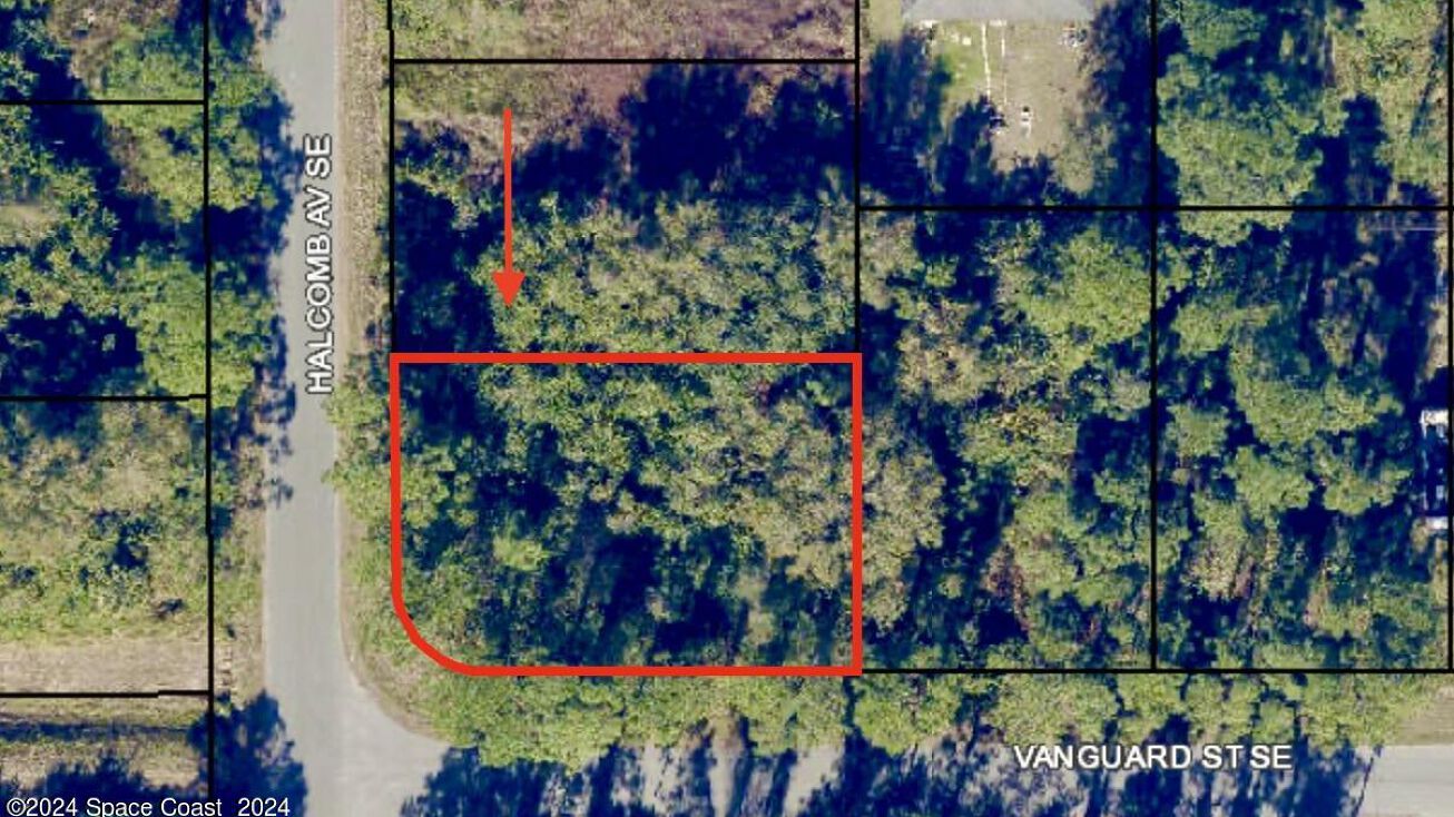 Xxx Avenue SE, Palm Bay, FL 32909