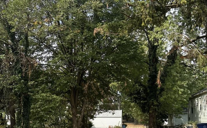 Pictures of Land property located at 577 S Napoleon Avenue, Columbus, OH 43213 for sales - image #1