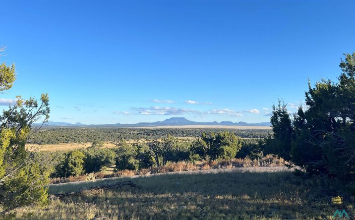 Pictures of Land property located at Tomahawk Trail, Quemado, NM 87829 for sales - image #1