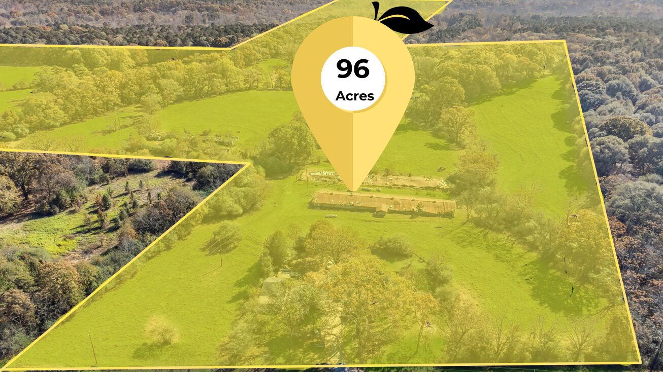 359 Manning Gin Rd, Monroe, GA 30656