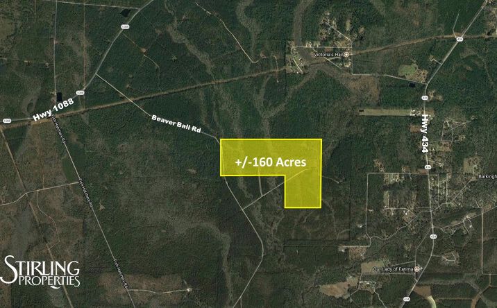Pictures of Land property located at Beaver Ball Rd, Lacombe, LA 70445 for sales - image #1