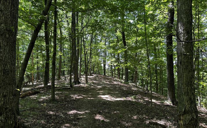 Pictures of Land property located at 0 Parkinson Road, Langsville, OH 45741 for sales - image #1